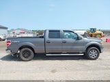FORD F-150 XL/XLT 1FTFW1E86AFC82950 снимка