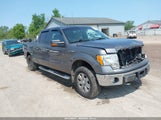FORD F-150 XL/XLT 1FTFW1E86AFC82950 снимка