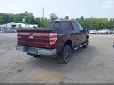 FORD F-150 FX4/HARLEY-DAVIDSON/KING RANCH/LARIAT/PLATINUM/XL/XLT 1FTFW1EV4AFB22782 photo