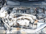 MERCEDES-BENZ AMG A 35 4MATIC W1K3G5BB3LJ221665 photo