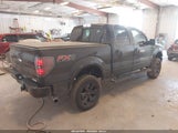 FORD F-150 FX4 1FTFW1ETXDFA63062 снимка