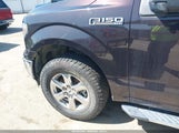 FORD F-150 XLT 1FTEW1EP1KFD43075 снимка