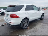 MERCEDES-BENZ ML 350 4MATIC 4JGDA5HB9FA447877 снимка