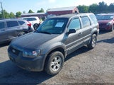 FORD ESCAPE XLT/XLT SPORT 1FMYU93116KA07662 fotografie