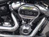 HARLEY-DAVIDSON FLFBS 1HD1YGK10MB063023 снимка