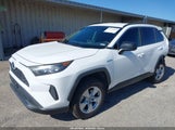TOYOTA RAV4 HYBRID LE 2T3LWRFV7KW013250 fotografie