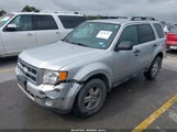 Ford Escape Xlt 1FMCU9D75BKB34308 fotografie