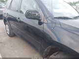 TOYOTA RAV4 JTMZD33V585100856 fotografie
