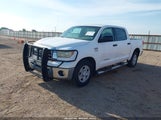 TOYOTA TUNDRA SR5 5.7L V8 5TFDV54138X049795 fotografie