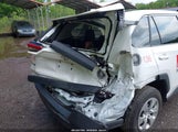 TOYOTA RAV4 LE 2T3H1RFVXPW251430 снимка