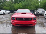 Ford Mustang Gt Deluxe/Gt Premium 1ZVHT82H275247235 photo