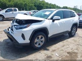 Toyota Rav4 Xle/Woodland Edition 2T3RWRFV9RW204740 photo
