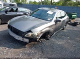 Infiniti M37X JN1BY1AR6DM600804 снимка