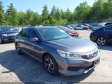 HONDA ACCORD LX 1HGCR2F36HA220492 снимка