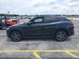 ALFA ROMEO STELVIO SPORT AWD ZASFAKPN8J7B58624 photo