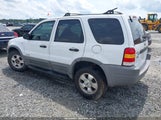 FORD ESCAPE XLT 1FMYU03111KB11945 снимка