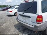 FORD ESCAPE XLT 1FMYU03111KB11945 снимка
