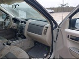 FORD ESCAPE XLT 1FMCU03158KC06061 снимка