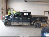 FORD F-150 FX4/HARLEY-DAVIDSON/KING RANCH/LARIAT/PLATINUM/XL/XLT 1FTFW1EV3AFA59268 fotografie
