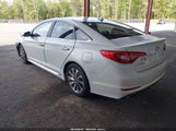 HYUNDAI SONATA SPORT 5NPE34AF3GH420596 снимка