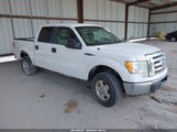 Ford F-150 Fx4/Harley-Davidson/King Ranch/Lariat/Platinum/Xl/Xlt 1FTFW1EV5AFB69285 photo