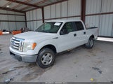 Ford F-150 Fx4/Harley-Davidson/King Ranch/Lariat/Platinum/Xl/Xlt 1FTFW1EV5AFB69285 fotografie