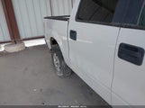 Ford F-150 Fx4/Harley-Davidson/King Ranch/Lariat/Platinum/Xl/Xlt 1FTFW1EV5AFB69285 fotografie