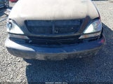 Lexus Rx 300 JTJHF10U810176738 снимка