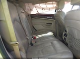 Miniaturka zdjęcia 8