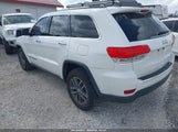 JEEP GRAND CHEROKEE LIMITED 4X2 1C4RJEBG4HC779411 fotografie