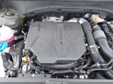 HYUNDAI SANTA FE LIMITED 5NMP44GLXRH015063 fotografie