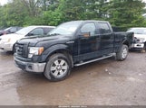 FORD F-150 FX4/HARLEY-DAVIDSON/KING RANCH/LARIAT/PLATINUM/XL/XLT 1FTFW1EV8AKB22565 photo