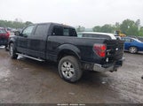 FORD F-150 FX4/HARLEY-DAVIDSON/KING RANCH/LARIAT/PLATINUM/XL/XLT 1FTFW1EV8AKB22565 fotografie