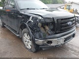 FORD F-150 FX4/HARLEY-DAVIDSON/KING RANCH/LARIAT/PLATINUM/XL/XLT 1FTFW1EV8AKB22565 fotografie