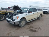 Ford F-150 Xlt 1FTFW1ET9CKE07602 снимка