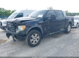FORD F-150 FX4/HARLEY-DAVIDSON/KING RANCH/LARIAT/PLATINUM/XL/XLT 1FTFW1EVXAFB35715 photo