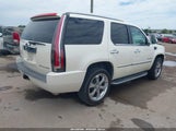 CADILLAC ESCALADE STANDARD 1GYFK132X9R248668 снимка