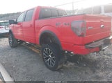 Ford F-150 Fx4 1FTFW1EF5BFC43377 photo