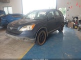 HONDA CR-V LX JHLRE383X7C067127 fotografie