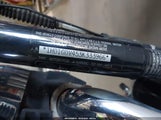 HARLEY-DAVIDSON FXDL ANNIVERSARY 1HD1GDV453K333966 снимка