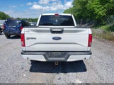FORD F-150 XLT 1FTEW1EF0HFB72108 снимка