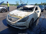 HYUNDAI SONATA GLS 5NPEB4AC7EH838892 снимка
