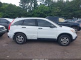 HONDA CR-V LX 5J6RE38369L004181 photo