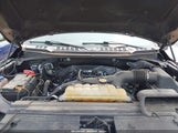 FORD F-150 XLT 1FTEW1EP1LFC21317 снимка
