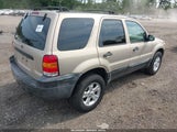 Ford Escape Xlt 1FMYU03Z67KB98188 снимка