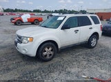 FORD ESCAPE XLT 1FMCU9D7XBKB34112 fotografie