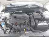 KIA OPTIMA LX 5XXGT4L32KG294411 снимка