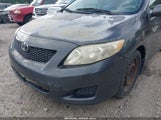 TOYOTA COROLLA XLE 1NXBU40E19Z040976 снимка