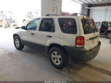 FORD ESCAPE XLT 1FMYU93165KD12251 снимка