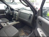 FORD ESCAPE XLT 1FMCU0D76BKB32918 fotografie